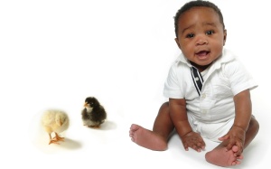Baby_Photography_of_baby_boy_and_chicks.jpg__www.amaderforum.com