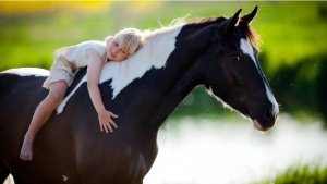 child_sits_on_a_horse-852x480