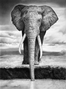 elephant_by_francoclun-d4yf34b