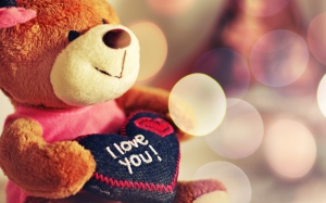i_love_you_teddy_bear-wide